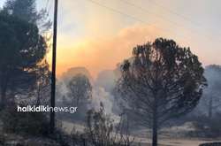 Північ Греції охопили лісові пожежі