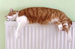 В 55% жилых домов Украины еще нет отопления