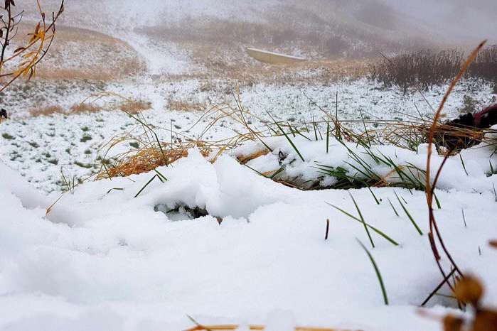У горах Криму випав перший сніг: опубліковано фото