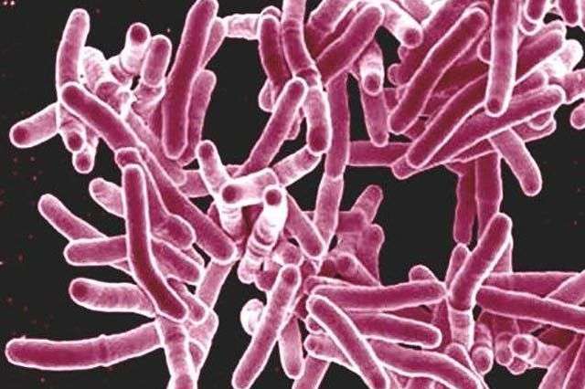 Вчені розробили нові ліки від туберкульозу