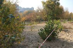 У Києві жінка втопила двох власних дітей в озері: подробиці трагедії