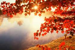 В Україні сьогодні без опадів, температура до +21