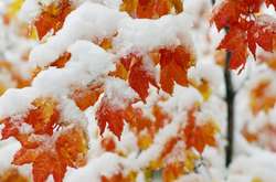 В Укргідрометцентрі розповіли про погоду на листопад 