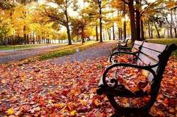 1 листопада у Києві збережеться тепла погода