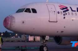 В Аргентині через град екстрено сів літак 