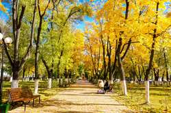 В Україні у п’ятницю буде тепло і сухо 