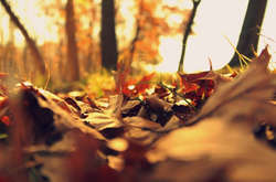 Кінець тижня в Україні буде сухим і теплим