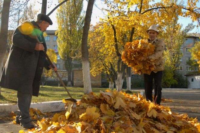 У Києві побудують комплекс для переробки опалого листя