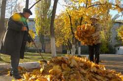 Спалювання листя шкодить здоров'ю і природі