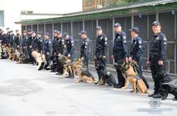 В крупных аэропортах Украины с 5 ноября будут патрулировать кинологи