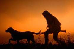 На Вінниччині розпочався сезон полювання