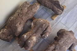 Грецький фермер відкопав на своєму полі фрагмент древньої статуї