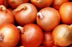 Частина продукції, яку заклали на зберігання, зважаючи на якісні показники, буде непридатною для реалізації у весняні місяці