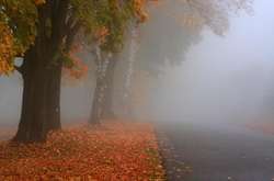 Через туман видимість складає  200-500 м 