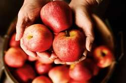 Польские ученые выяснили, что яблоки эффективно защищают от рака 