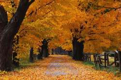 В Україні пануватиме антициклон: прогноз погоди на 7 листопада