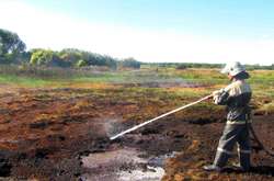  Загоряння торфовищ охоплюють величезні простори і дуже важко піддаються гасінню 