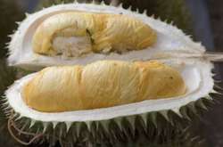 Индонезийская авиакомпания отложила рейс из-за «невыносимого» запаха тропического фрукта