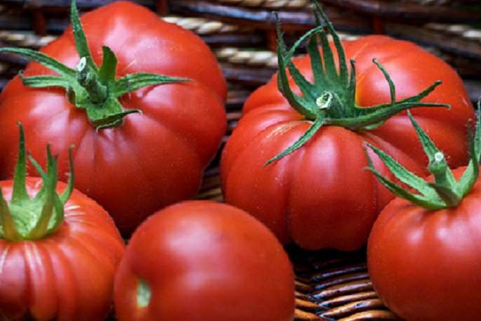 Любителів помідорів лякають різким зростанням цін 