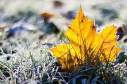 У Києві вперше цієї осені температура повітря опустилась нижче 0 градусів