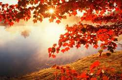 Туман знову окутав Київ