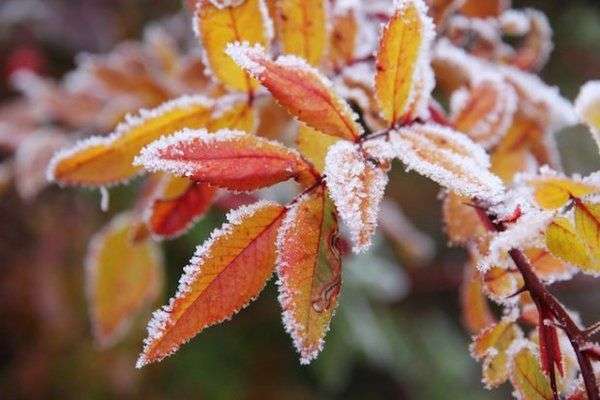 Синоптики попередили про похолодання в Україні