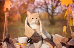 Неділя в Україні буде холодною