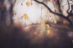 До України йде похолодання і сильні вітри: прогноз погоди на 11 листопада