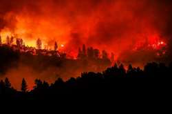 Кількість жертв лісових пожеж у Каліфорнії зросла до 31