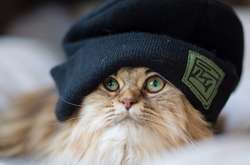 В Украину идет похолодание: ожидаются дожди и мокрый снег