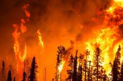 Аэропорт Сан-Франциско отменил часть рейсов из-за лесных пожаров