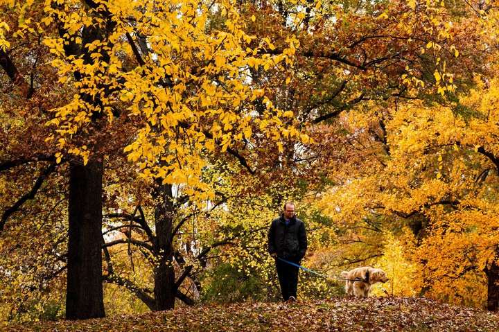 Осінь в Центральному парку Нью-Йорка: краса, яку важко описати словами