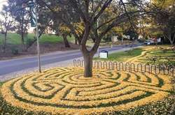 Фантастические фото, для создания которых не использовались графические редакторы