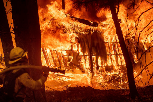Число пропавших без вести из-за пожаров в Калифорнии достигло 1000 человек