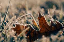 Сьогодні в Україні буде холодно, але без опадів