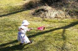 Жителі Фінляндії потролили Трампа фотографіями з граблями