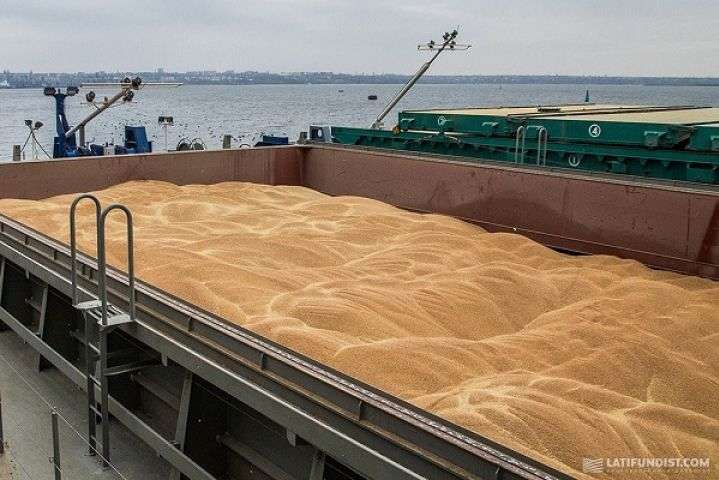 Україна цього року знизила експорт зернових на 12%