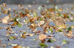 До 22 листопада у Києві утримається суха погода