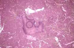 На Донбасі військові збили російський безпілотник