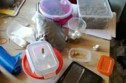 У Польщі затримали українця за зберігання наркотиків