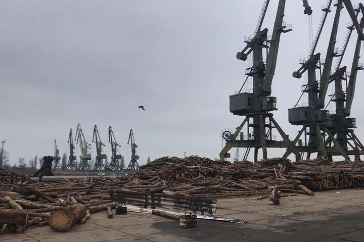 Депутати-радикали зупинили контрабанду лісу в порту Рені (ВІДЕО)