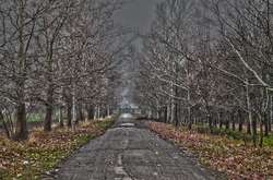 У четвер в Україні збережеться холодна погода без снігу 