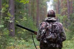 На Вінничині браконьєри сплатять 64 тис. грн за вбивство двох козуль