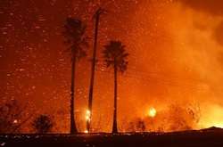 Пожар в Калифорнии уничтожил самую большую коллекцию фотокниг