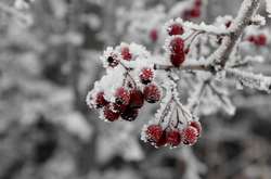 Сьогодні в Україні буде хмарно, в деяких областях дощі зі снігом