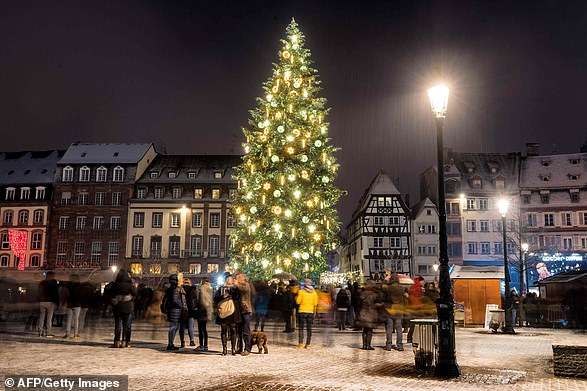 У Німеччині заборонили дітям вивішувати бажання на різдвяну ялинку 