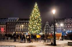 У Німеччині дітям заборонили вивішувати на різдвяну ялинку свої побажання через закон про конфіденційність