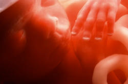 В Китае родились первые в мире генетически модифицированные близнецы