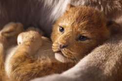 Долгожданный ремейк «Короля Льва» побил рекорд Disney по просмотрам за сутки