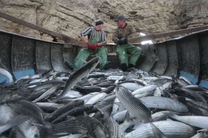 Мінагро рекомендує рибалкам на Азові повернутися в порти